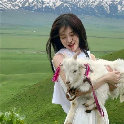 神秘小搭档之变色龙复仇记